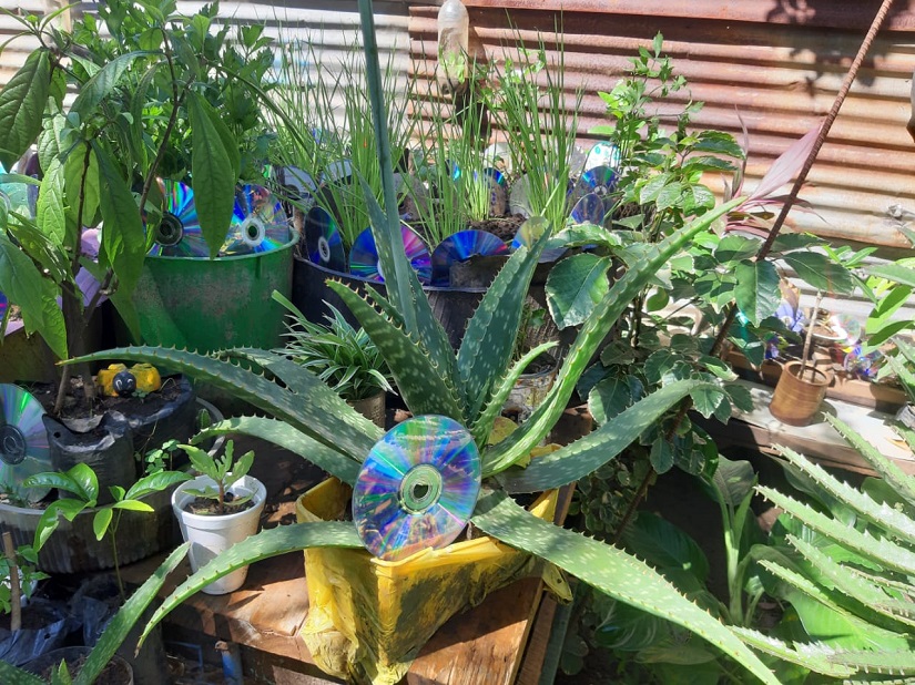 PATIO1